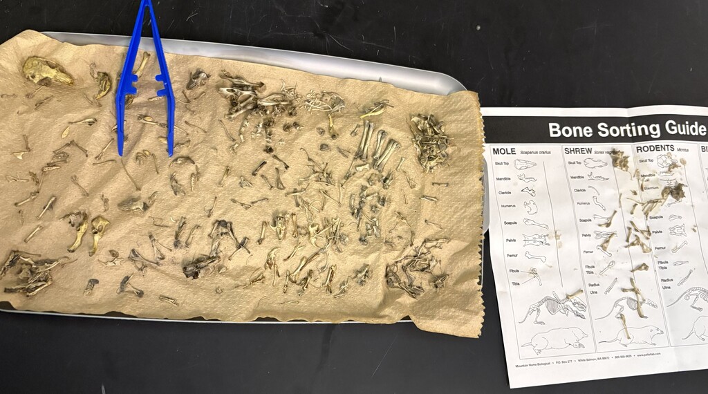 Wildlife Biology