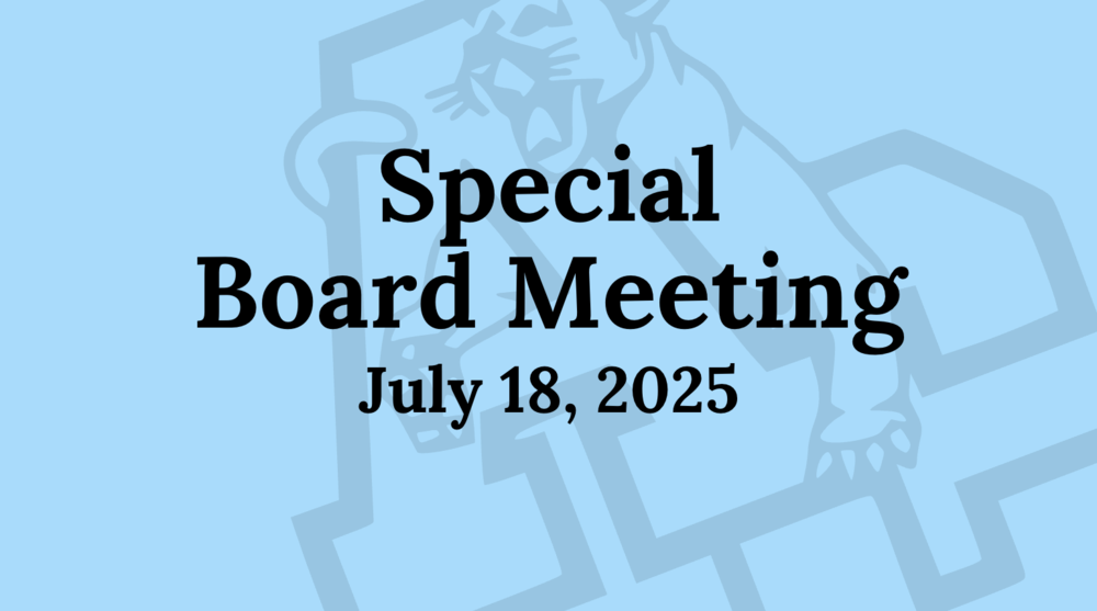 Board