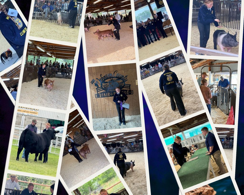2025 -JC Fair Collage 
