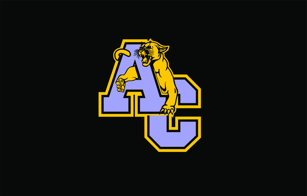 AC LOGO
