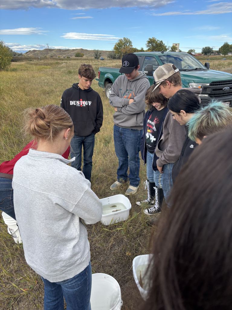 What's in the creek?