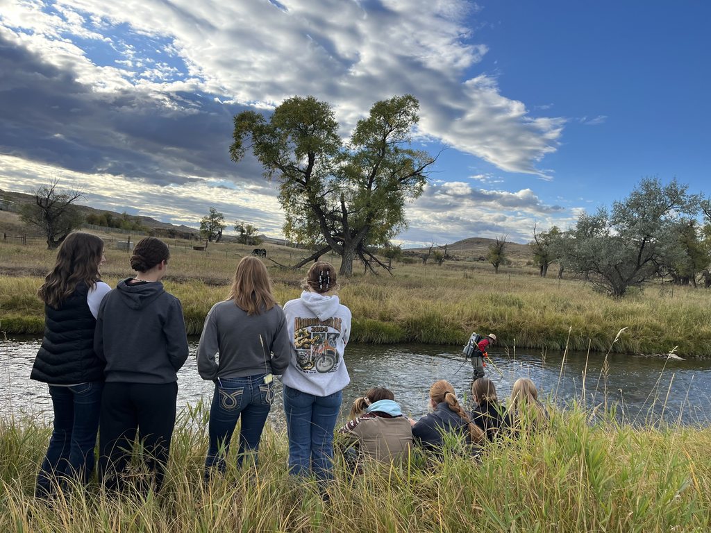 Students viewing