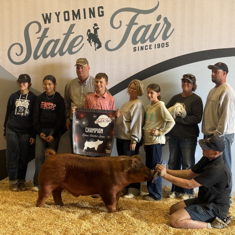 fair1
