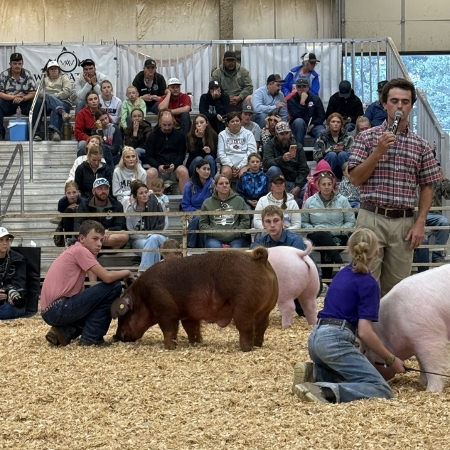 fair 3