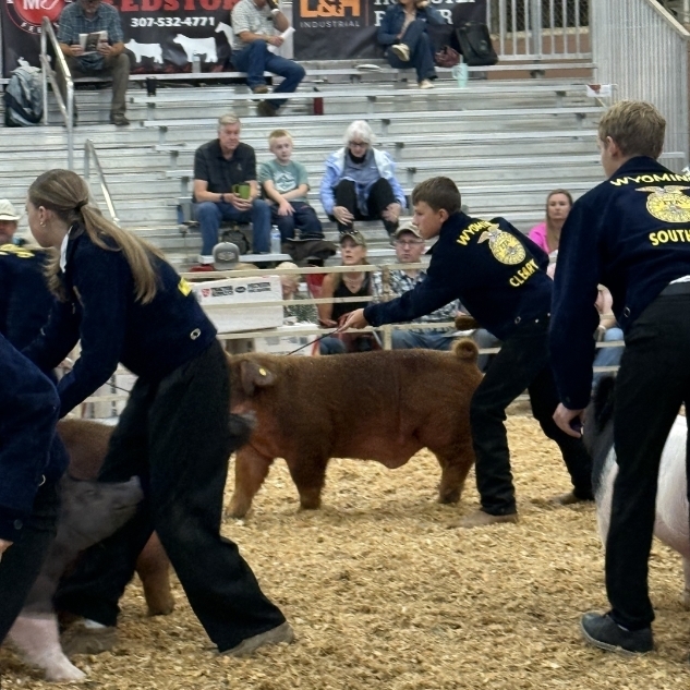fair 4
