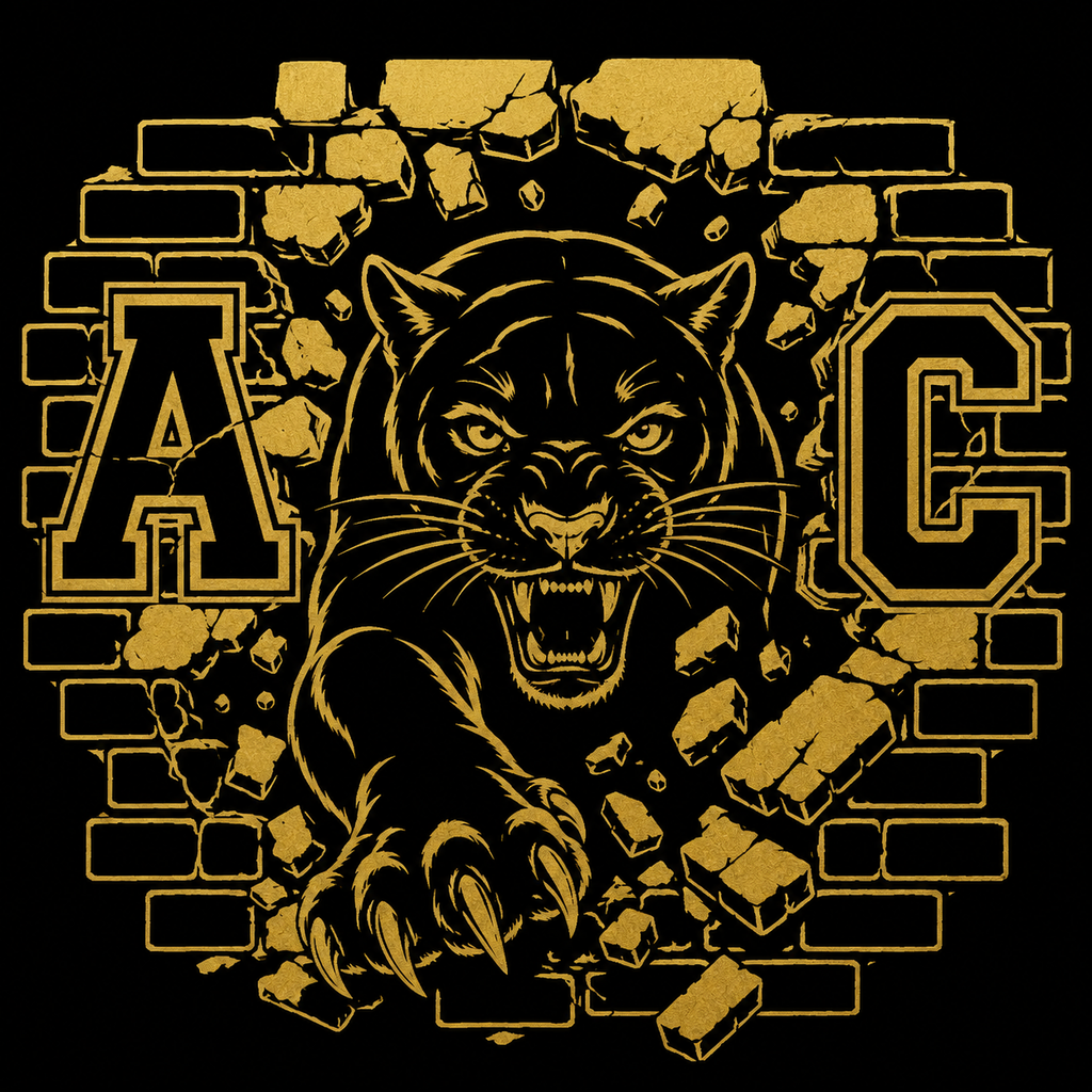 panther music logo
