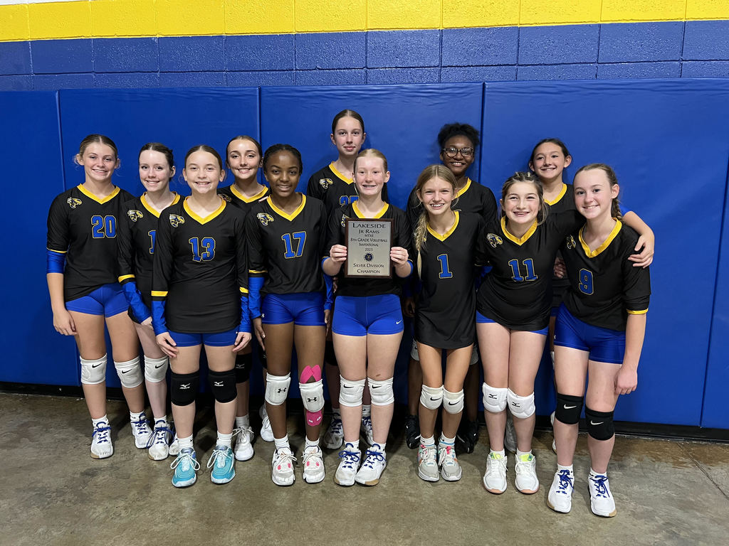 volleyball team