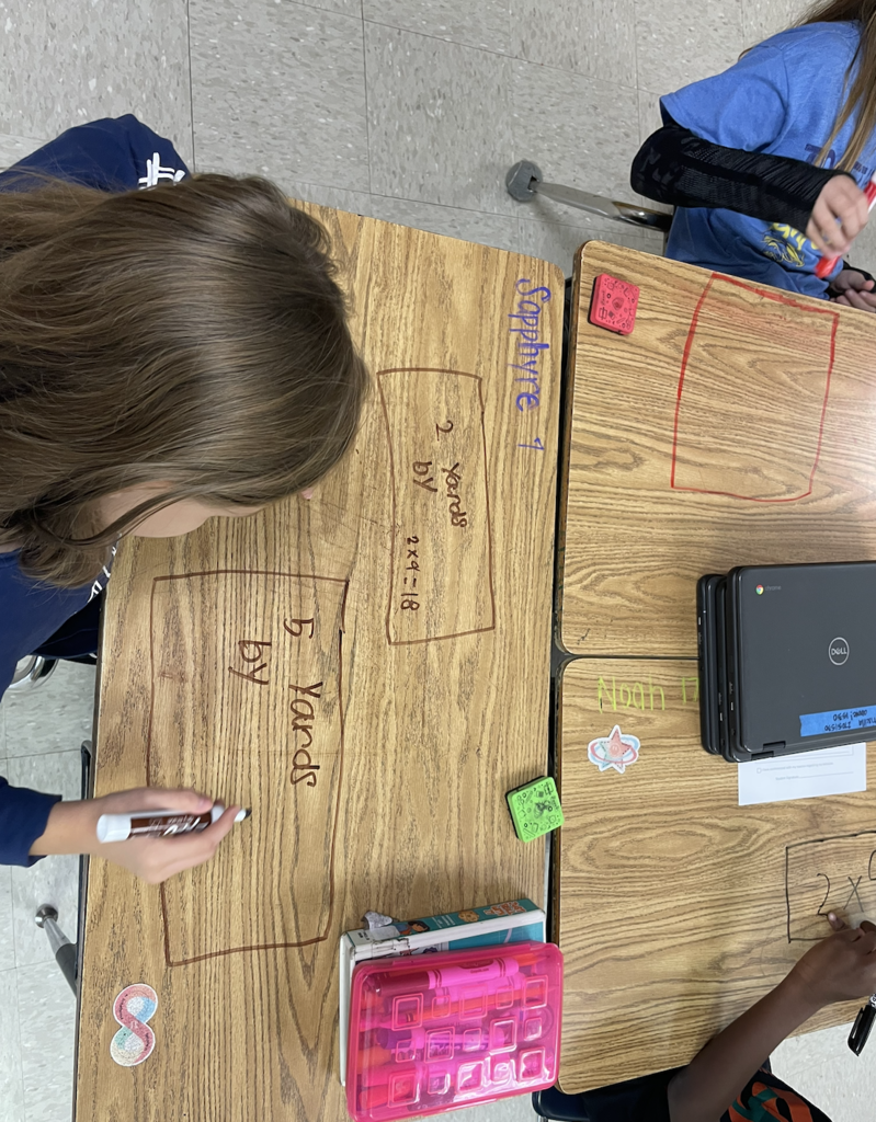 EEI - 3rd grade math