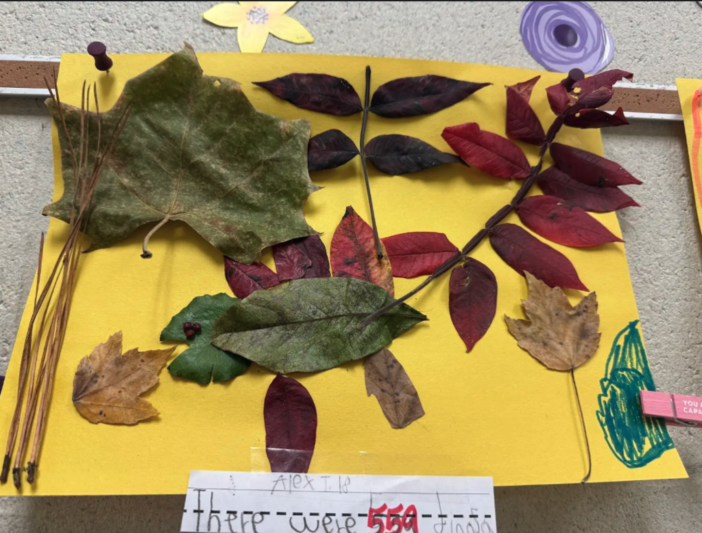 EEI - Additional Stories and Nature Scenes with Leaves