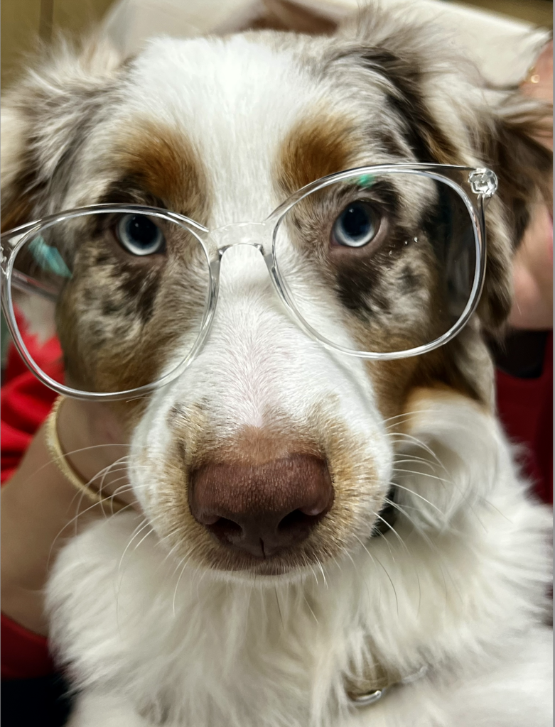 Merle Monday - Keep reading!