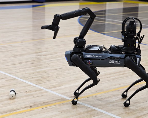 Robot Dog