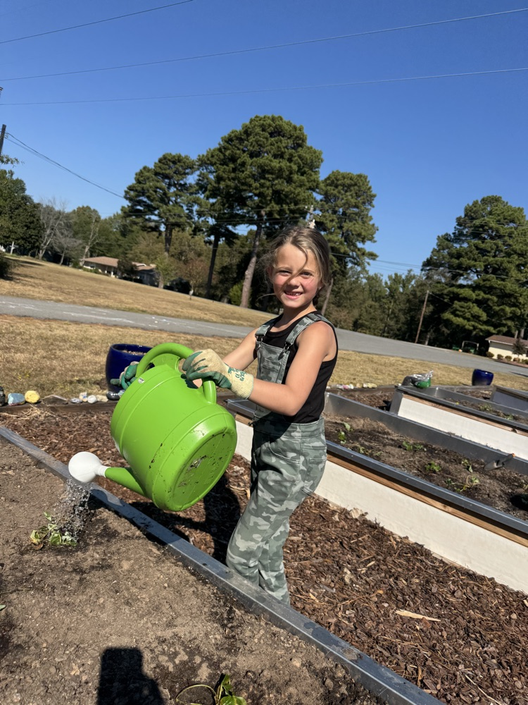 planting in the garden