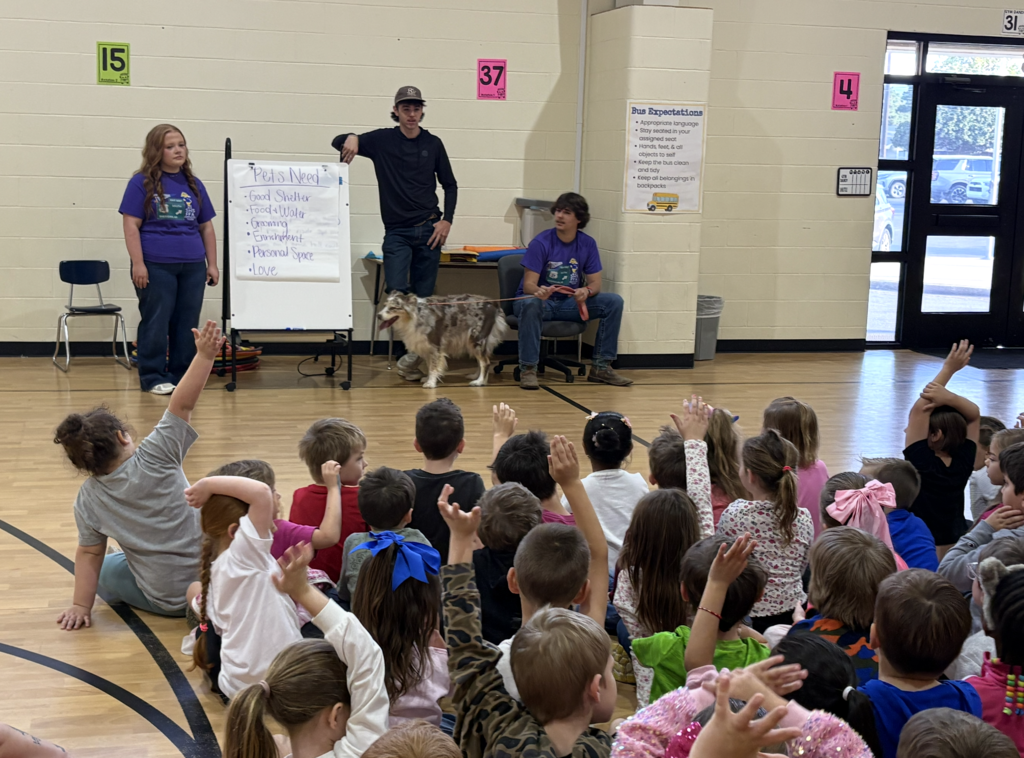 Dog Days of School