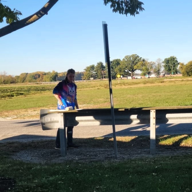 Ball diamond community service day
