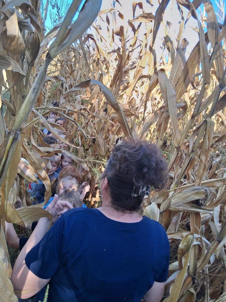 Photo of Prekindergarten students near a cornfield learning about where food comes from