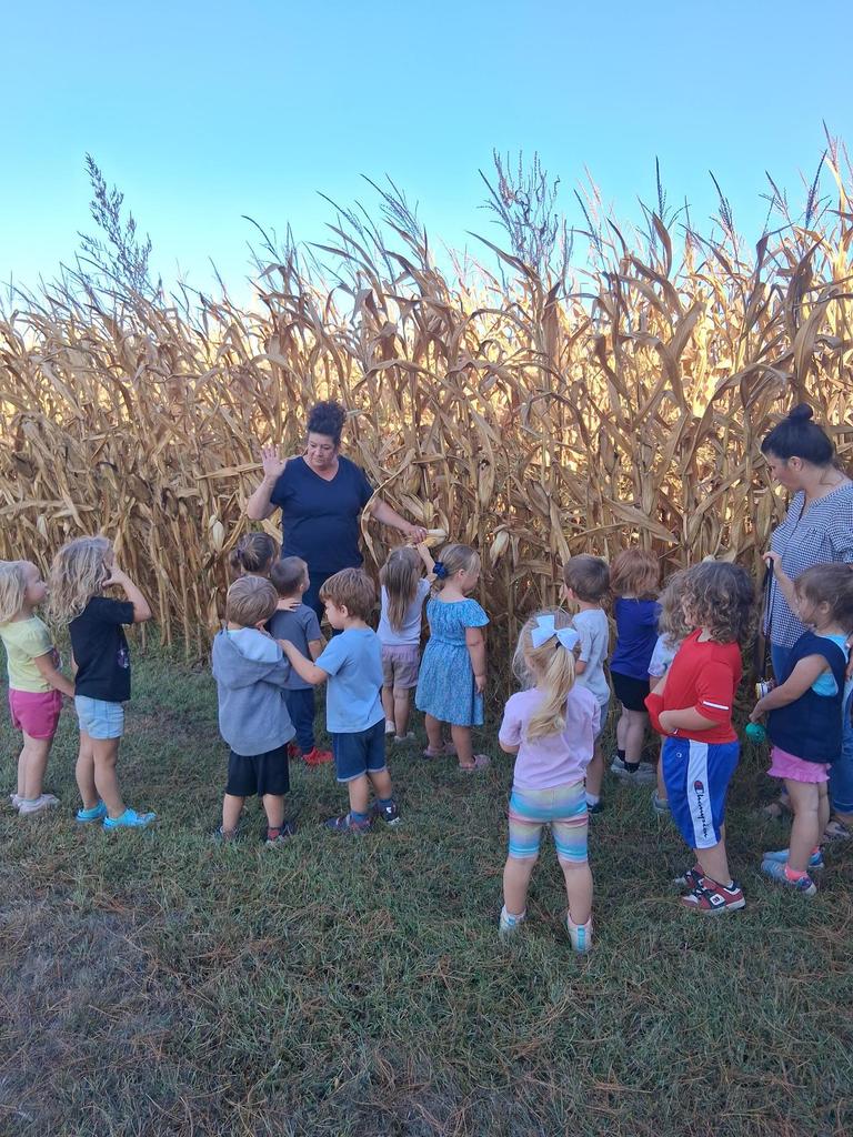 Photo of Prekindergarten students near a cornfield learning about where food comes from
