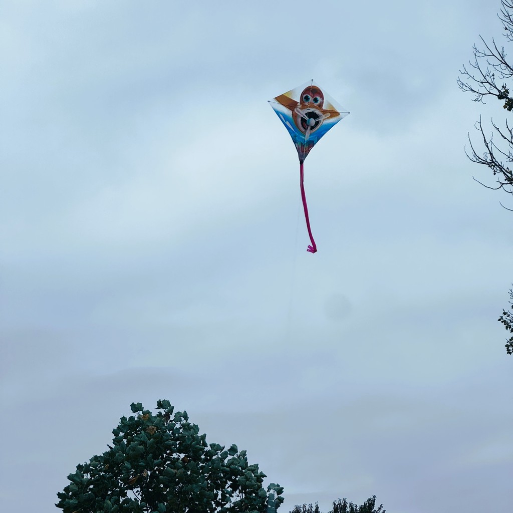 Elementary students fllying kites in PE