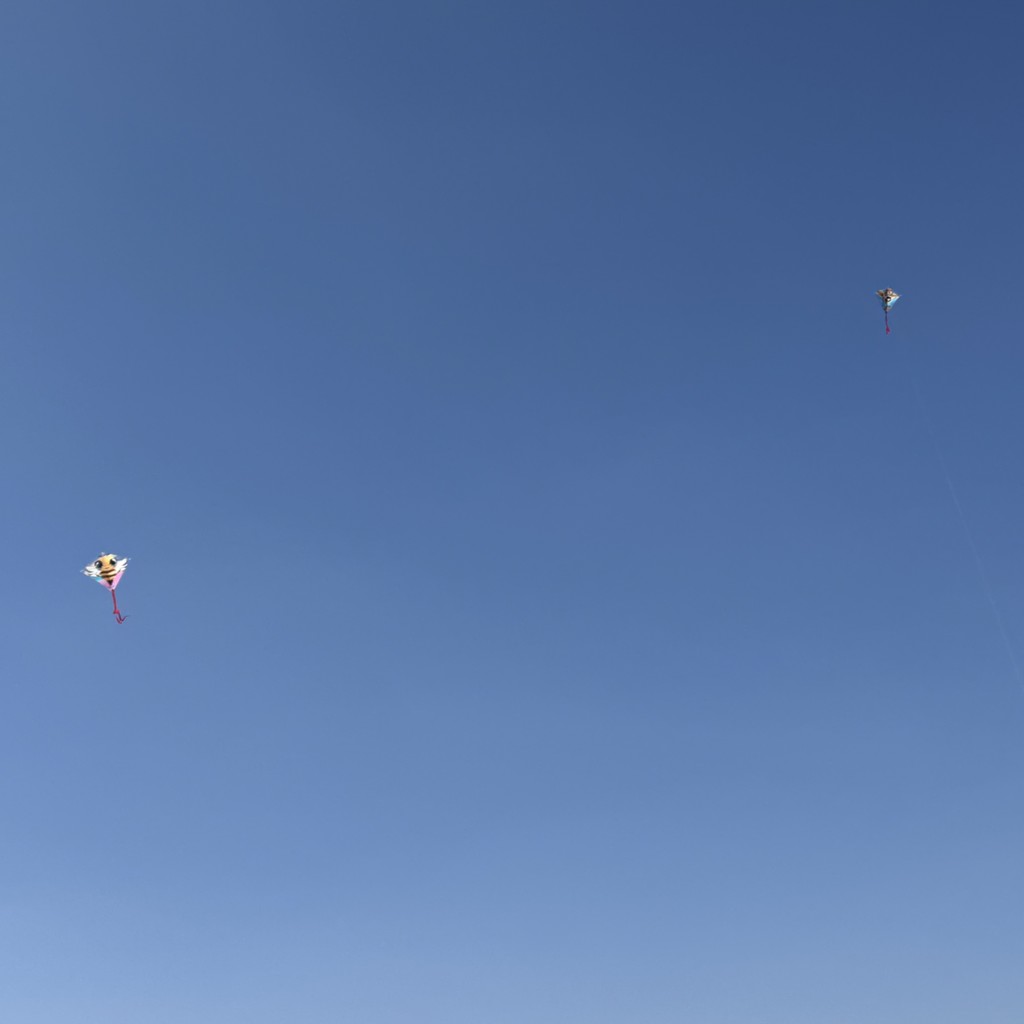 Elementary students fllying kites in PE