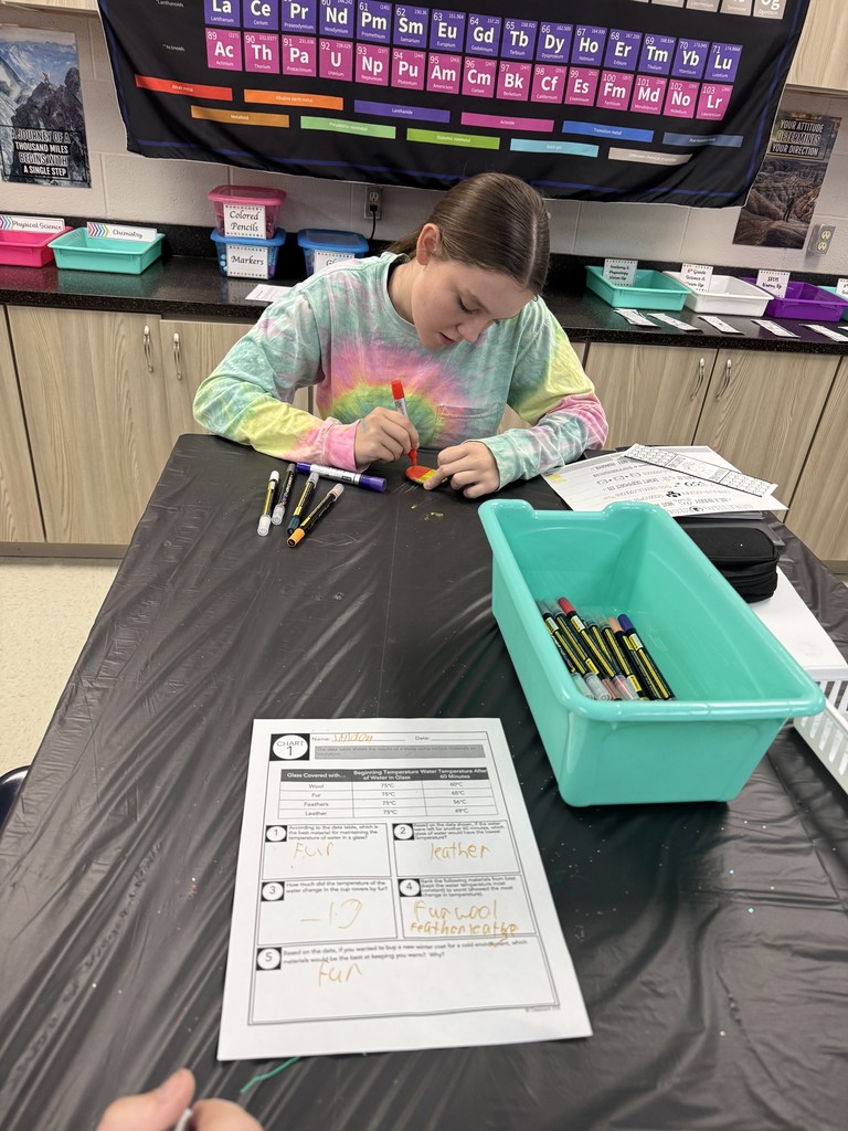 Mrs. Lorenzen's math and science students painting kindness rocks