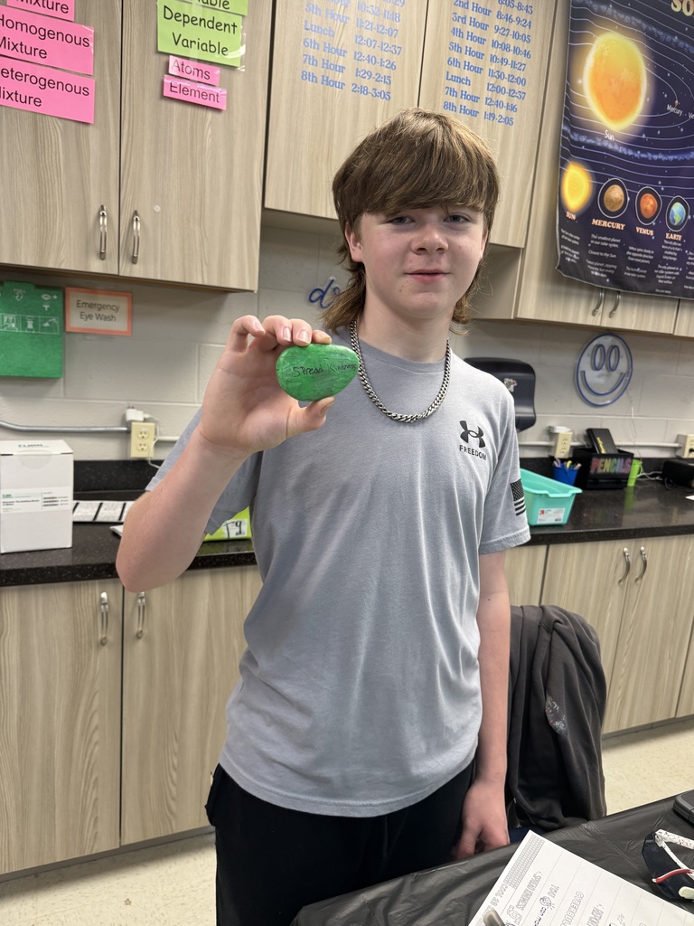 Mrs. Lorenzen's math and science students painting kindness rocks