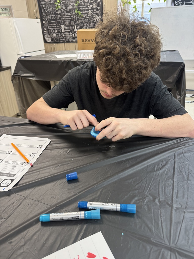 Mrs. Lorenzen's math and science students painted kindness rocks