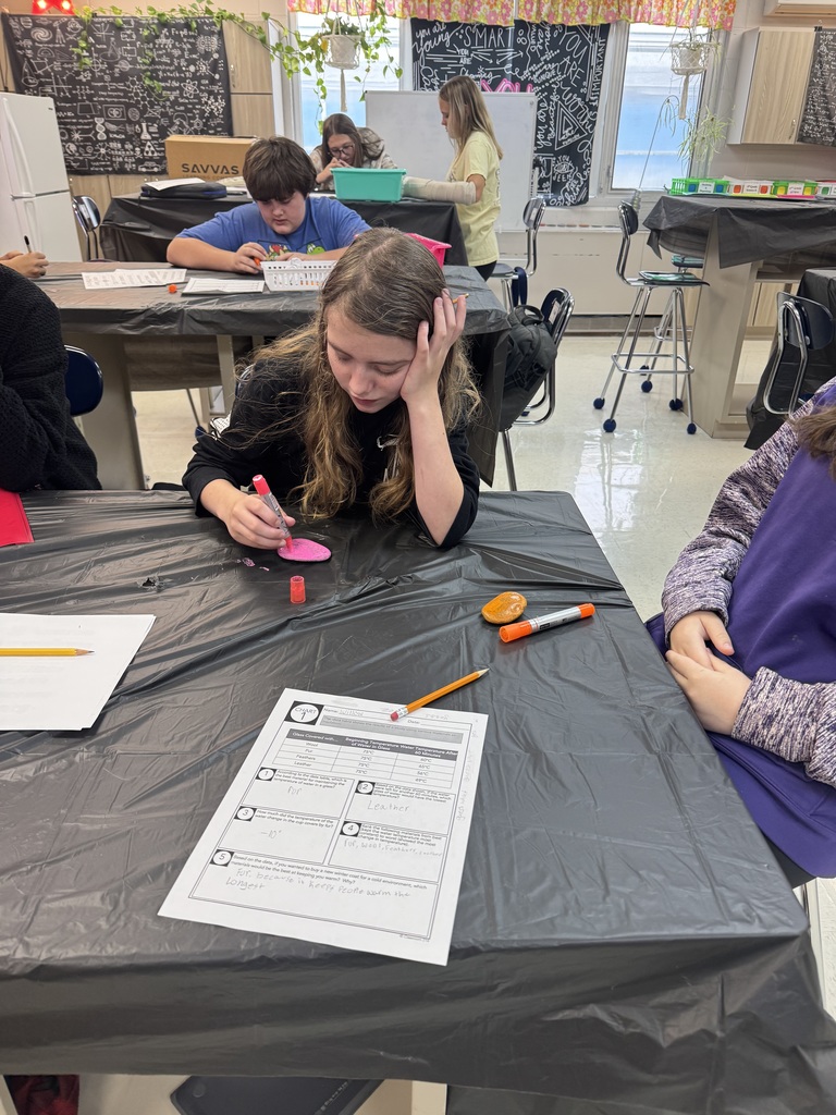 Mrs. Lorenzen's math and science students painted kindness rocks