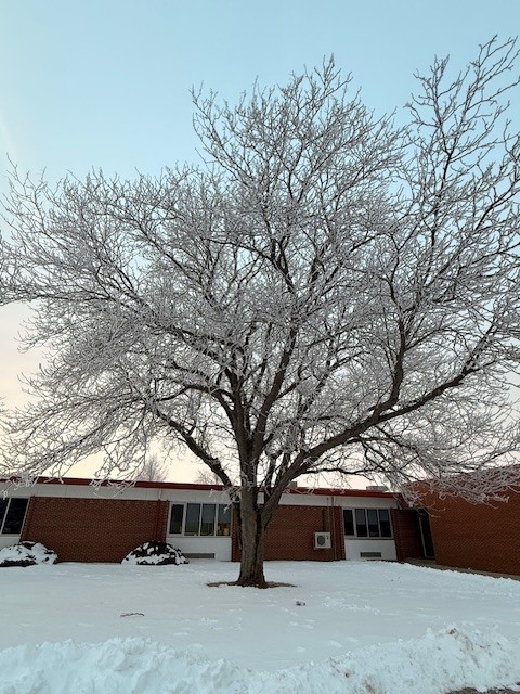 Sunrise freezing fog photograph by Julia North