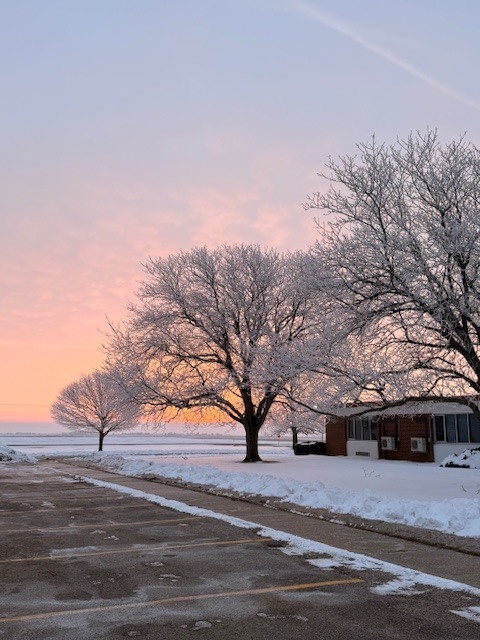 Sunrise freezing fog photograph by Julia North