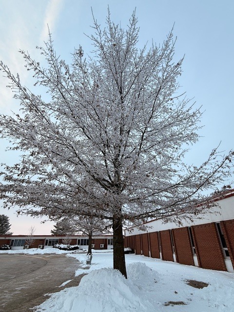 Sunrise freezing fog photograph by Julia North