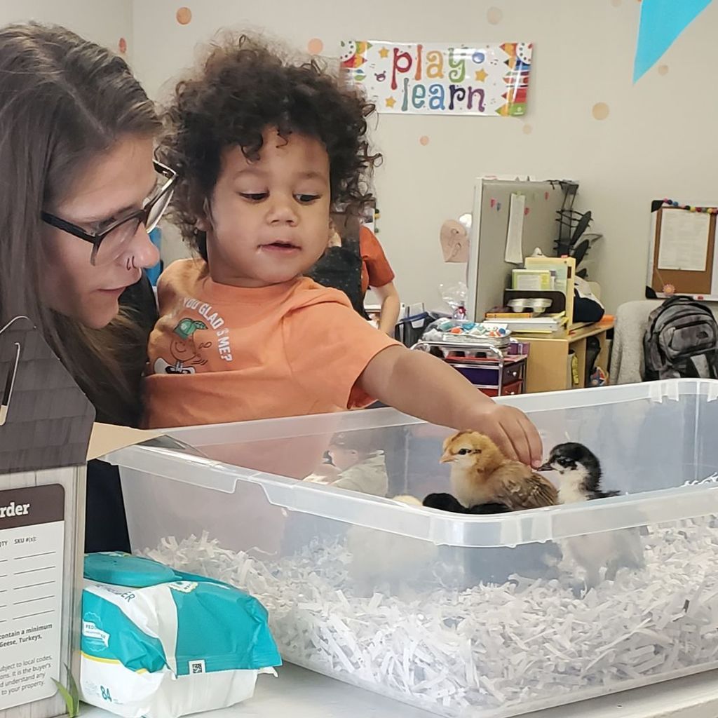 Families and children at PIP group connection in April 2026 observing and interacting with eggs and baby chicks