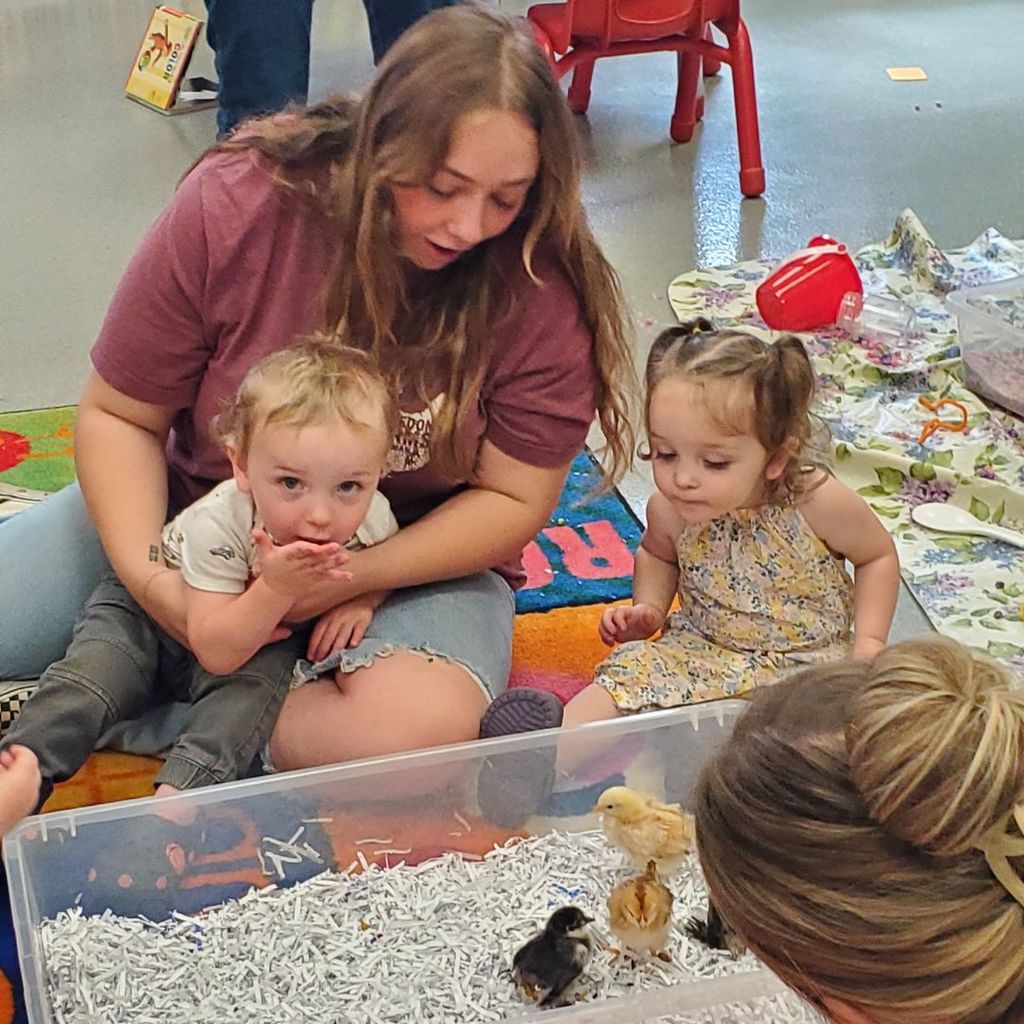 Families and children at PIP group connection in April 2026 observing and interacting with eggs and baby chicks