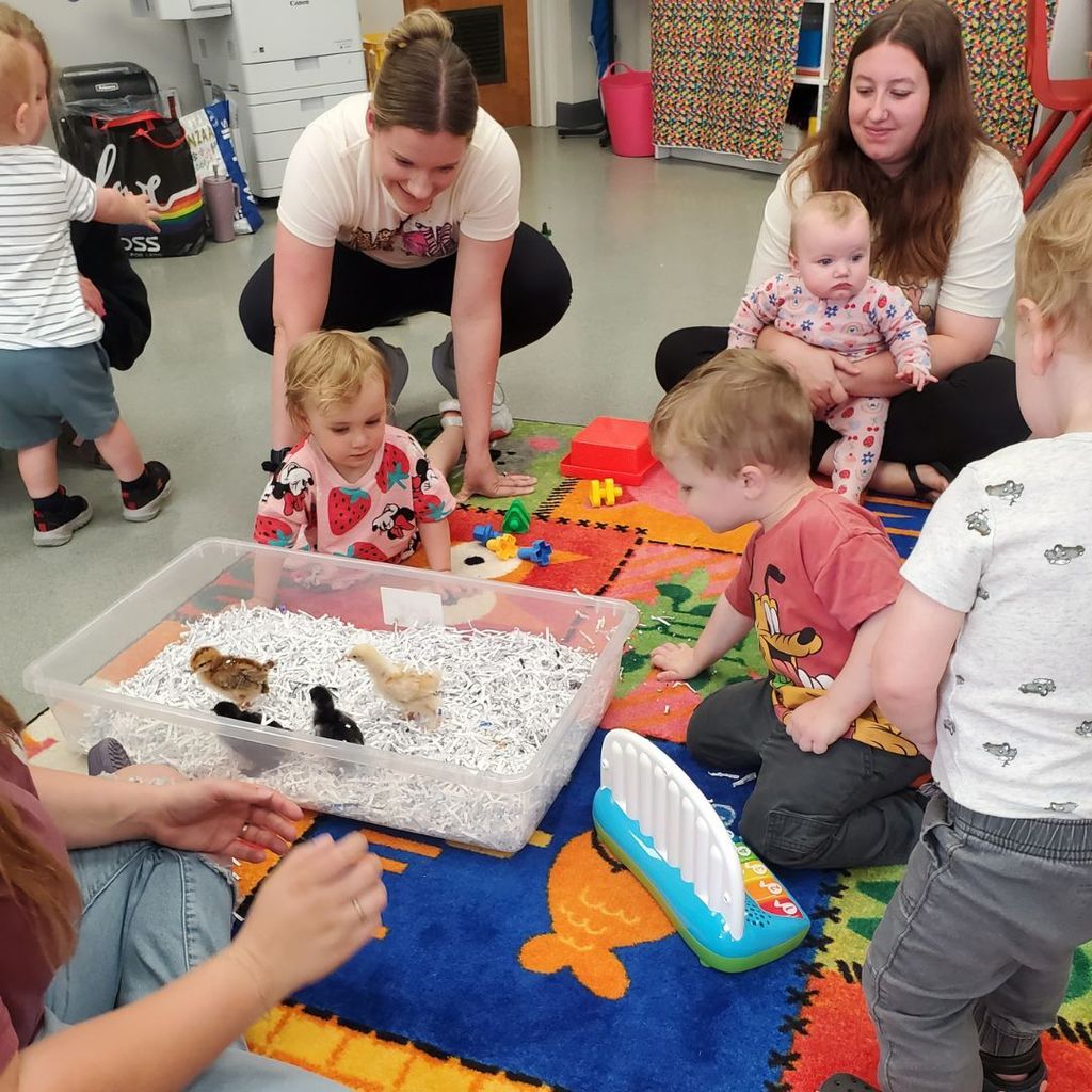 Families and children at PIP group connection in April 2026 observing and interacting with eggs and baby chicks