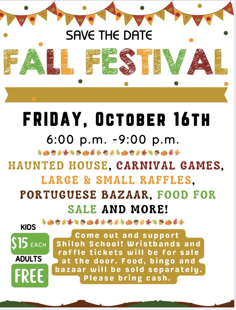 fall festival flier