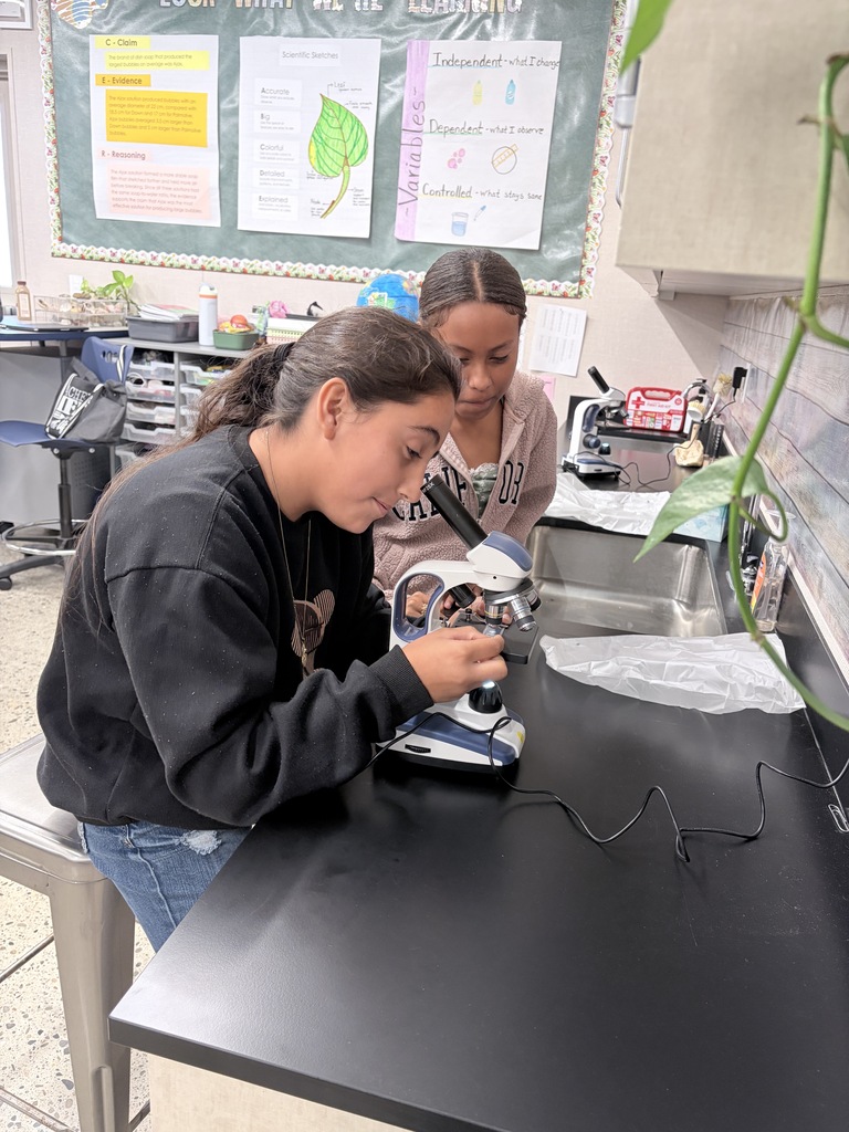 7th grade scientists using microscopes in the science lab.