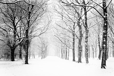 snow day