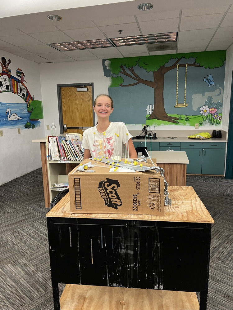 Bridge STEM Project