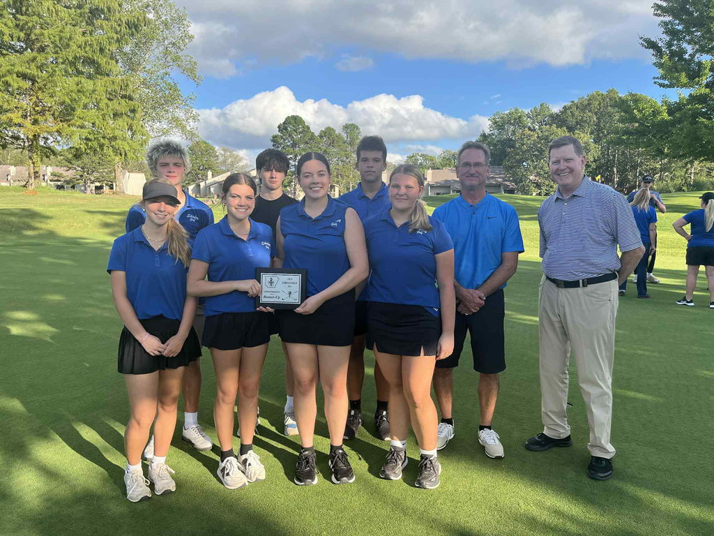 District golf