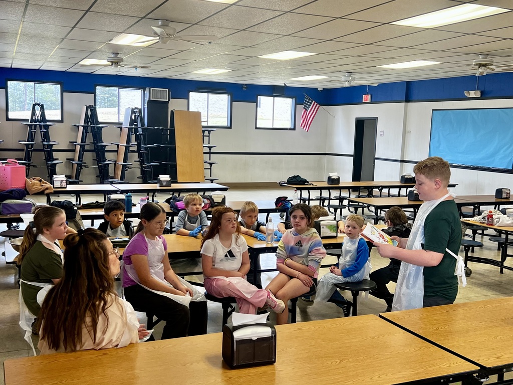 Peer teaching opportunities.