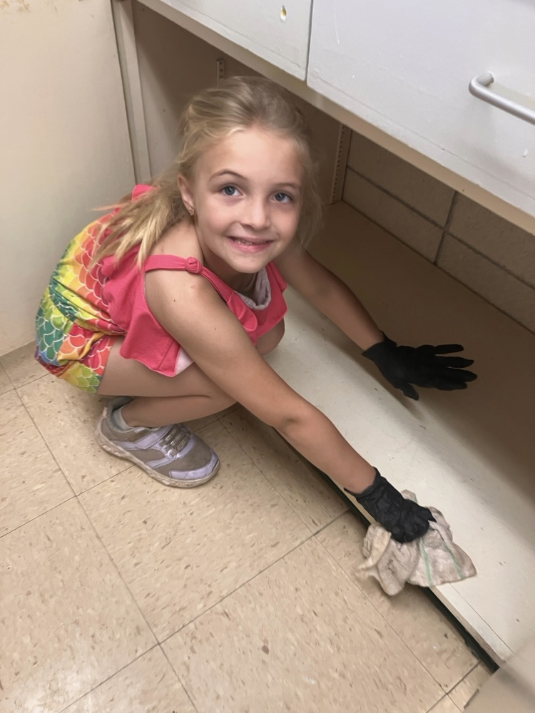cleaning out the cabinets