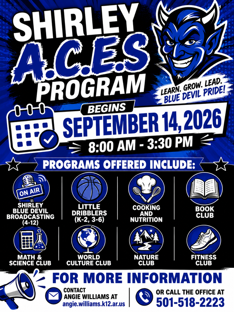 ACES flyer