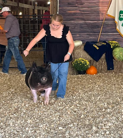 County Fair