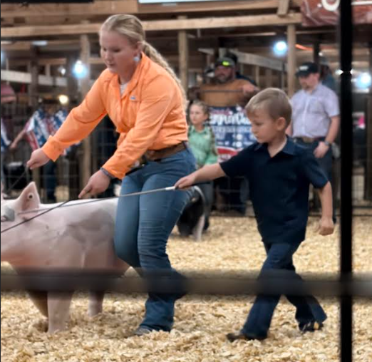 County fair
