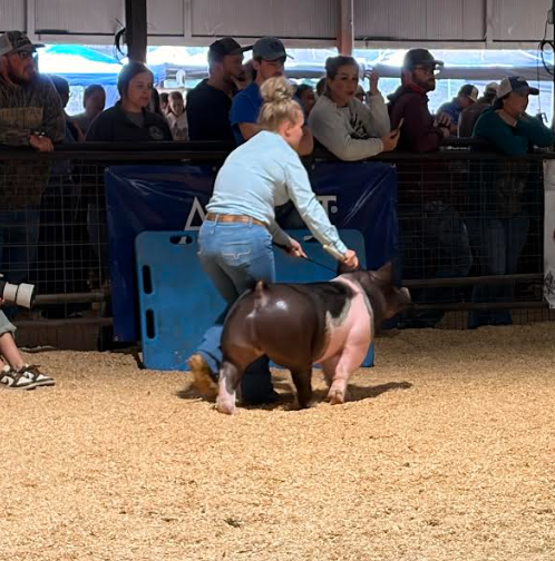 state fair 2026