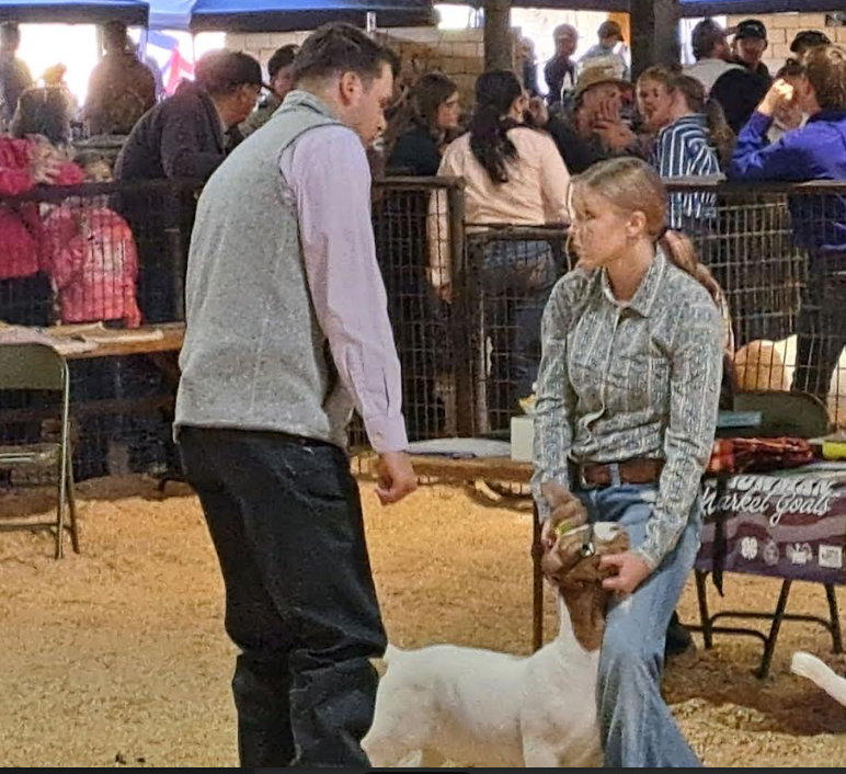 State fair 2026