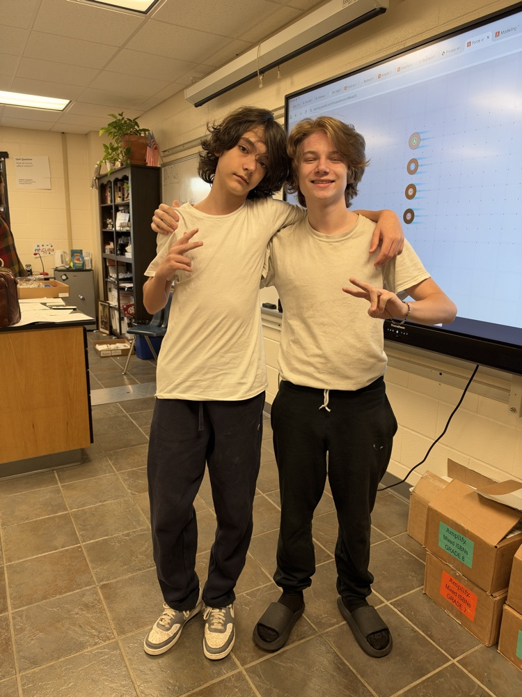 twins