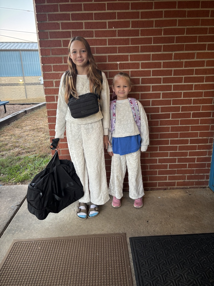 twins
