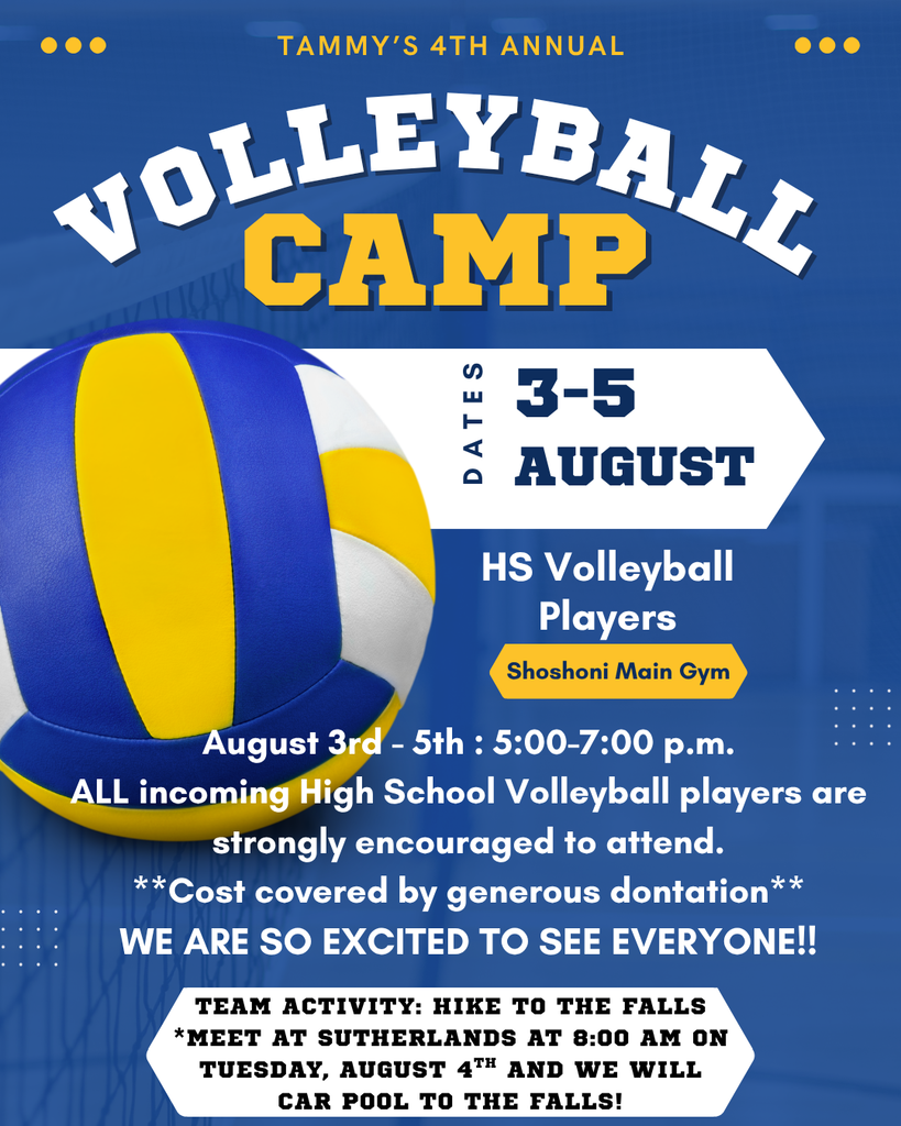 Volleyball Camp