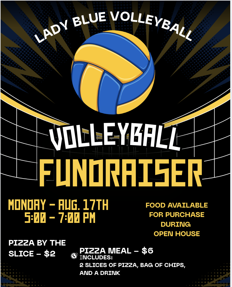 Volleyball Fundraiser
