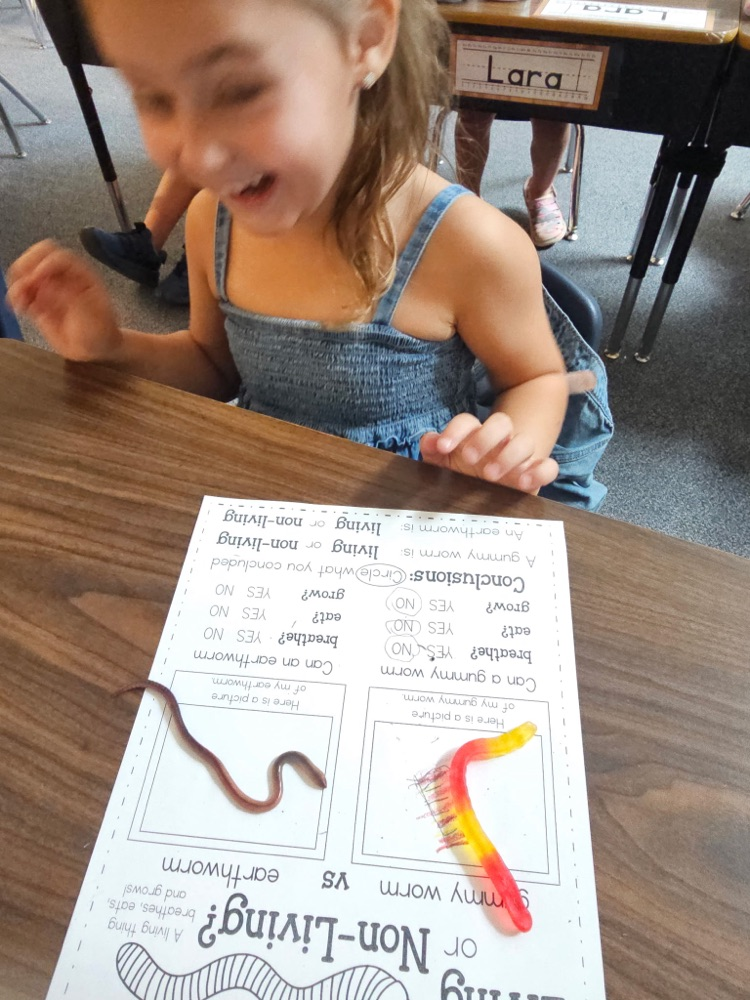 worms