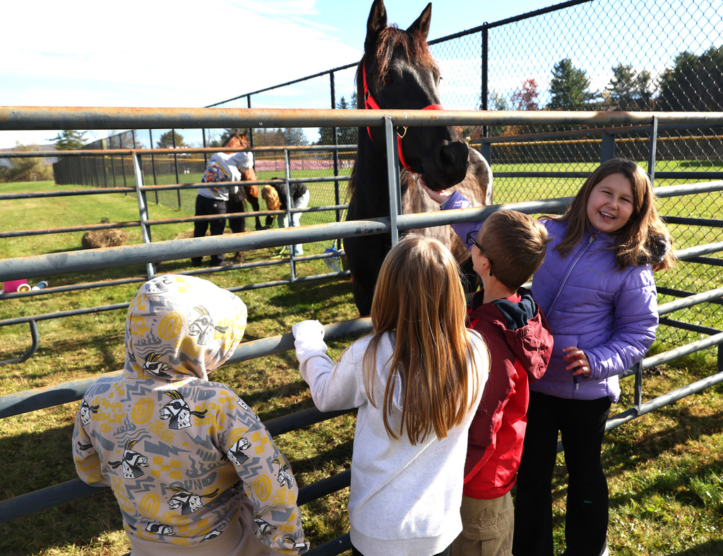 Students interacting with others and animals at the FFA Fair. 